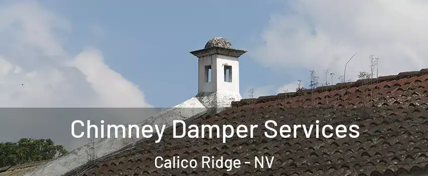 Chimney Damper Services Calico Ridge - NV