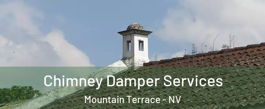 Chimney Damper Services Mountain Terrace - NV