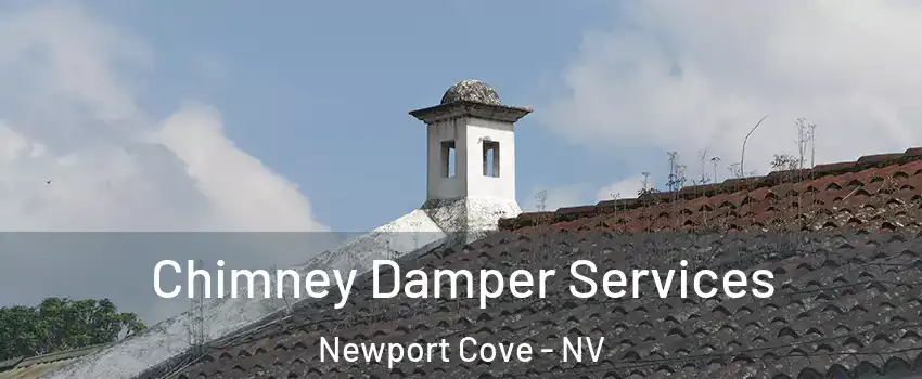 Chimney Damper Services Newport Cove - NV
