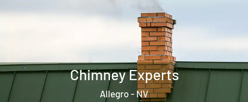 Chimney Experts Allegro - NV