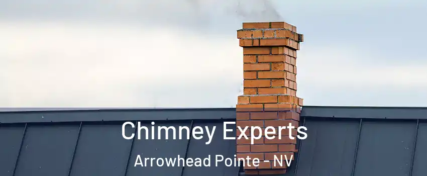 Chimney Experts Arrowhead Pointe - NV