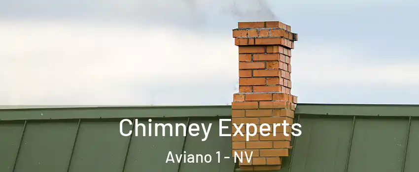 Chimney Experts Aviano 1 - NV