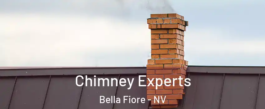 Chimney Experts Bella Fiore - NV