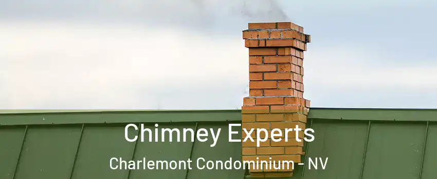 Chimney Experts Charlemont Condominium - NV