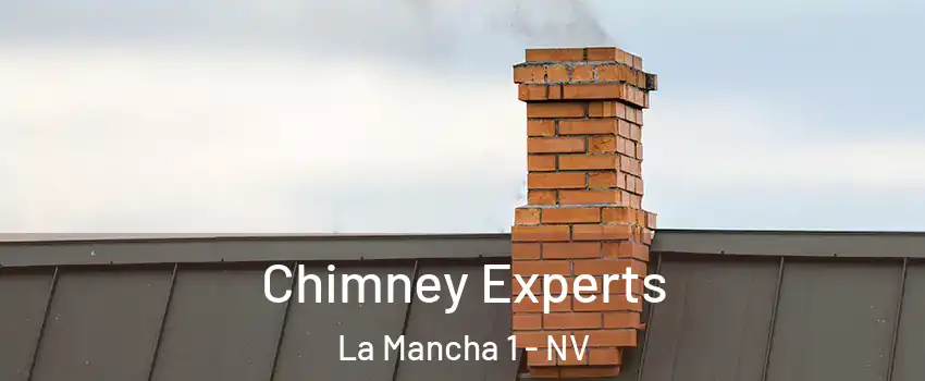 Chimney Experts La Mancha 1 - NV