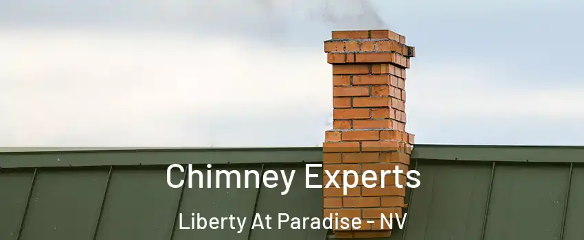 Chimney Experts Liberty At Paradise - NV