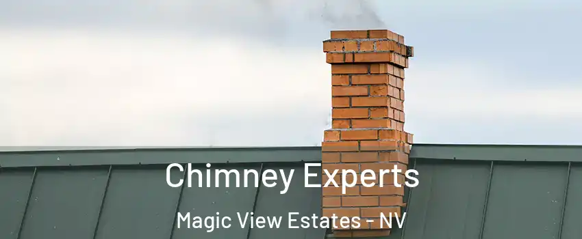 Chimney Experts Magic View Estates - NV