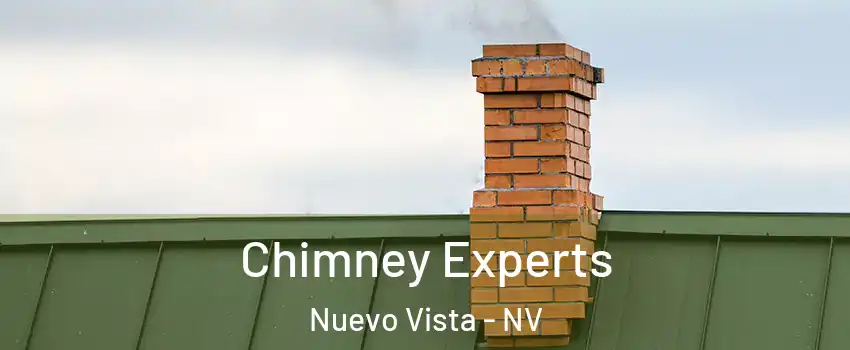 Chimney Experts Nuevo Vista - NV