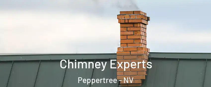 Chimney Experts Peppertree - NV