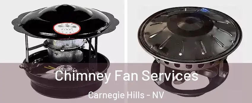 Chimney Fan Services Carnegie Hills - NV
