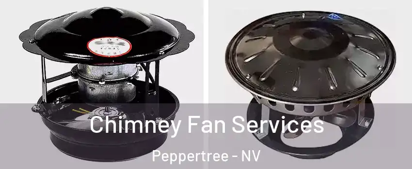 Chimney Fan Services Peppertree - NV