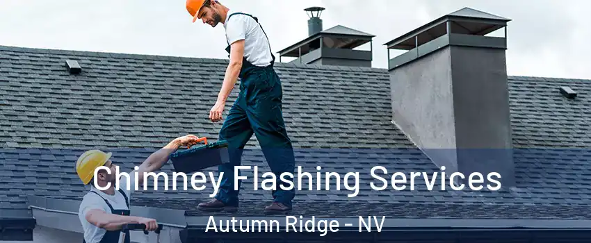 Chimney Flashing Services Autumn Ridge - NV