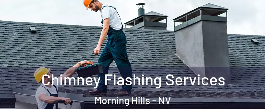 Chimney Flashing Services Morning Hills - NV