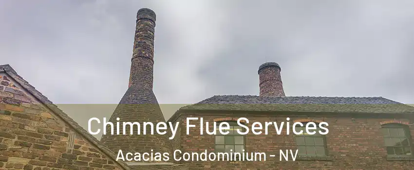 Chimney Flue Services Acacias Condominium - NV