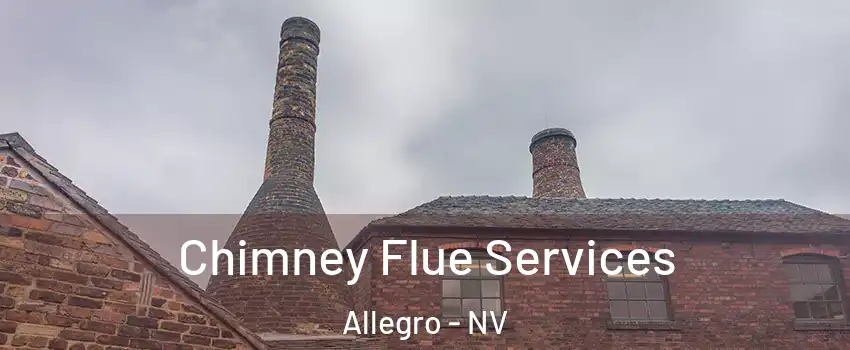 Chimney Flue Services Allegro - NV