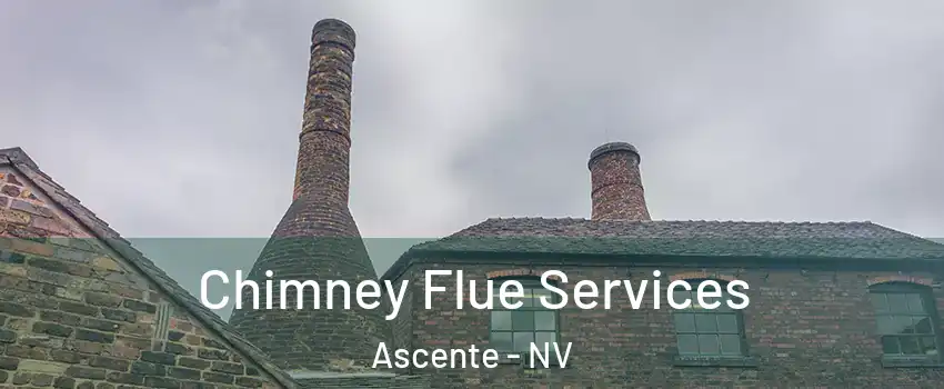 Chimney Flue Services Ascente - NV