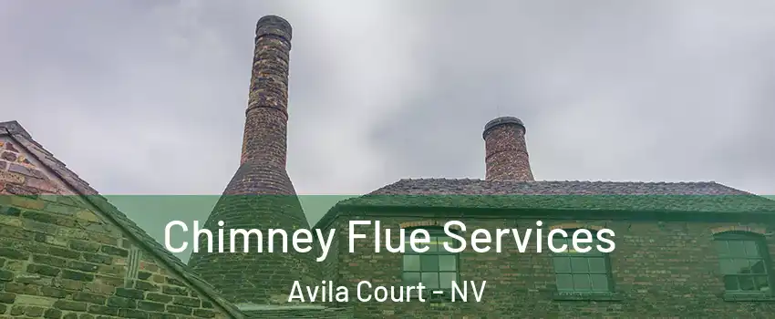 Chimney Flue Services Avila Court - NV