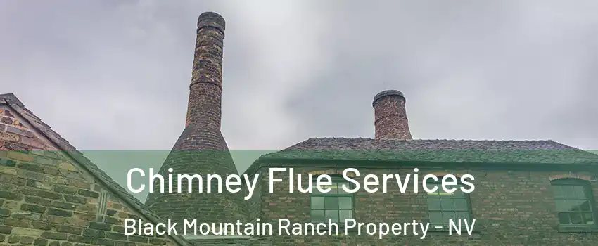 Chimney Flue Services Black Mountain Ranch Property - NV