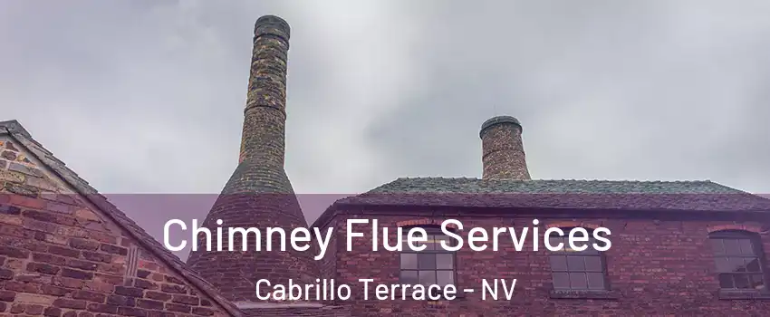 Chimney Flue Services Cabrillo Terrace - NV