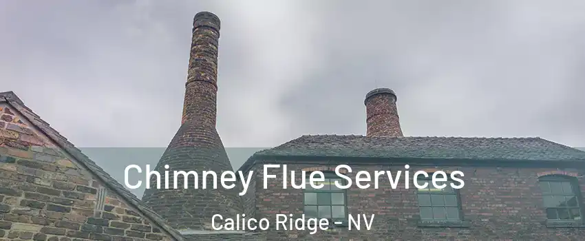 Chimney Flue Services Calico Ridge - NV