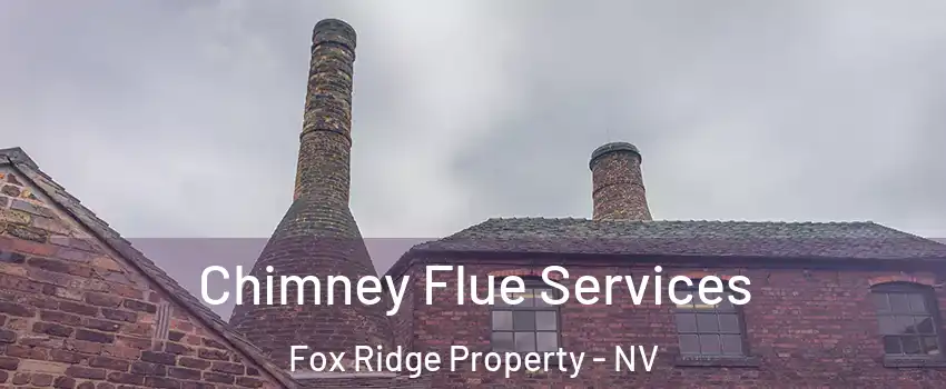 Chimney Flue Services Fox Ridge Property - NV