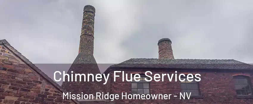 Chimney Flue Services Mission Ridge Homeowner - NV