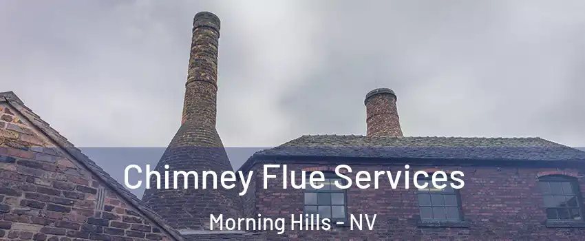 Chimney Flue Services Morning Hills - NV