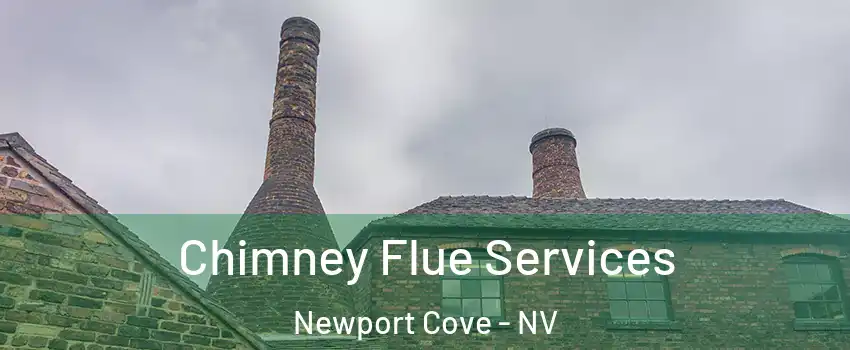 Chimney Flue Services Newport Cove - NV