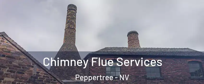 Chimney Flue Services Peppertree - NV