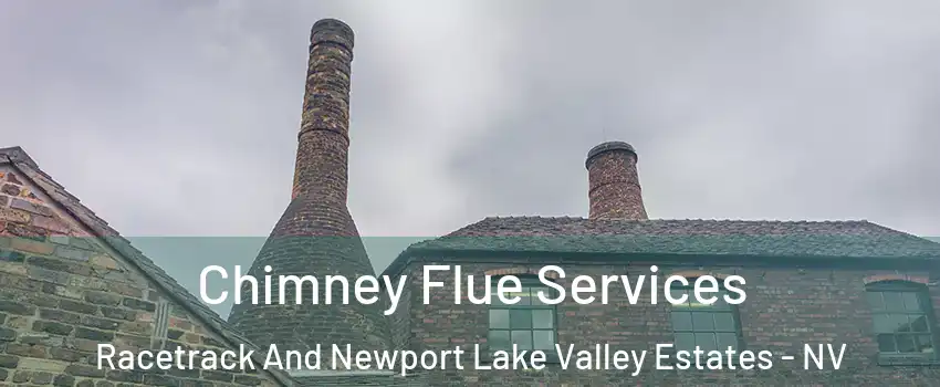 Chimney Flue Services Racetrack And Newport Lake Valley Estates - NV