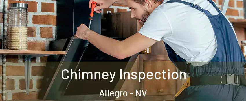 Chimney Inspection Allegro - NV