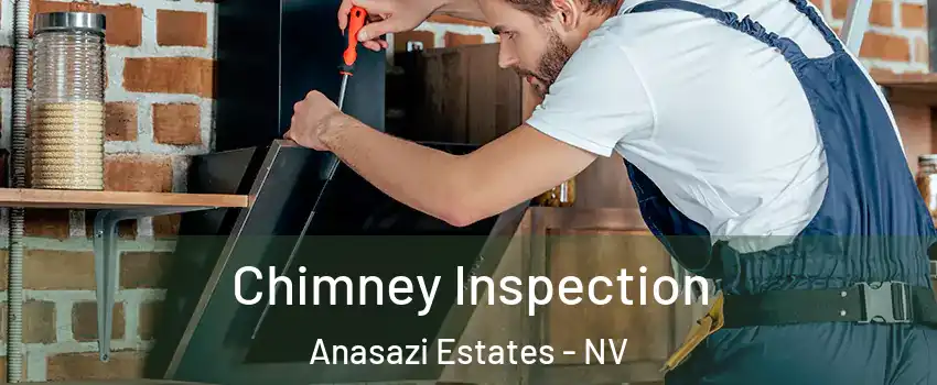 Chimney Inspection Anasazi Estates - NV