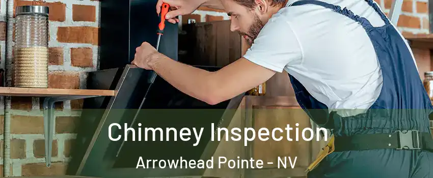 Chimney Inspection Arrowhead Pointe - NV