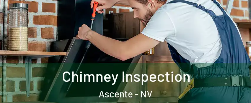 Chimney Inspection Ascente - NV