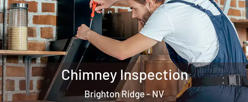 Chimney Inspection Brighton Ridge - NV