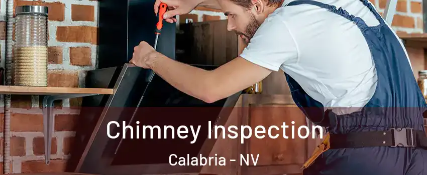 Chimney Inspection Calabria - NV