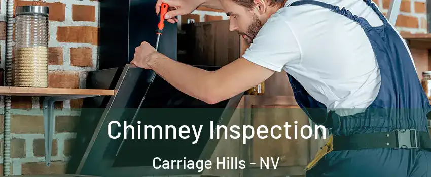 Chimney Inspection Carriage Hills - NV