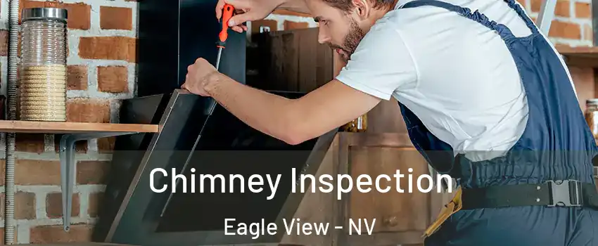 Chimney Inspection Eagle View - NV