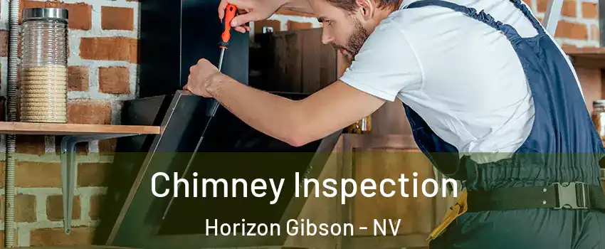 Chimney Inspection Horizon Gibson - NV