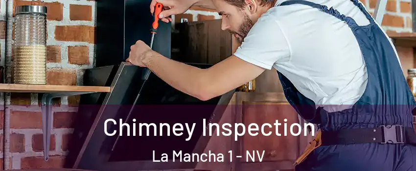 Chimney Inspection La Mancha 1 - NV