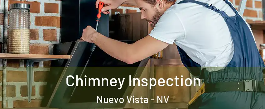 Chimney Inspection Nuevo Vista - NV