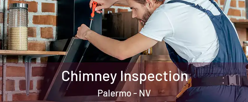 Chimney Inspection Palermo - NV
