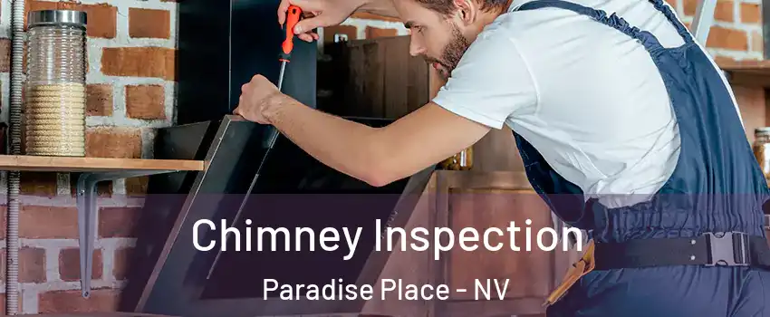 Chimney Inspection Paradise Place - NV
