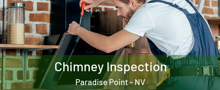 Chimney Inspection Paradise Point - NV