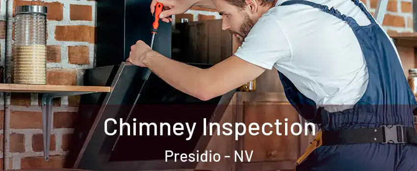 Chimney Inspection Presidio - NV