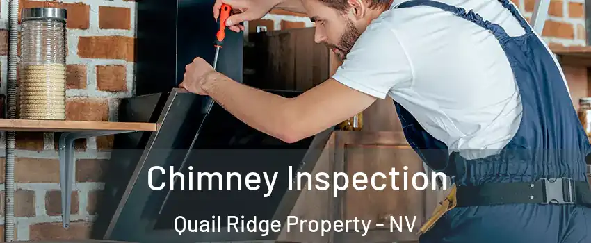 Chimney Inspection Quail Ridge Property - NV