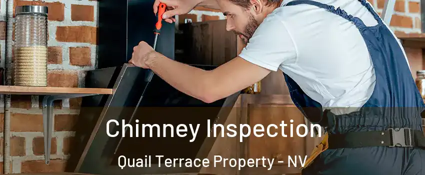 Chimney Inspection Quail Terrace Property - NV