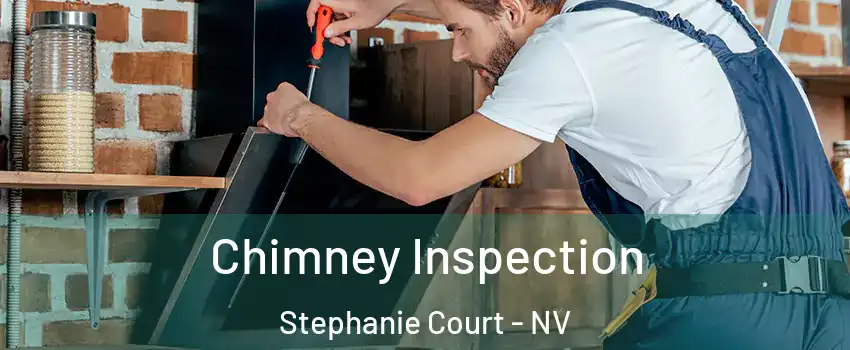 Chimney Inspection Stephanie Court - NV