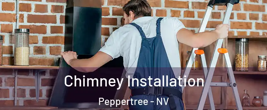 Chimney Installation Peppertree - NV
