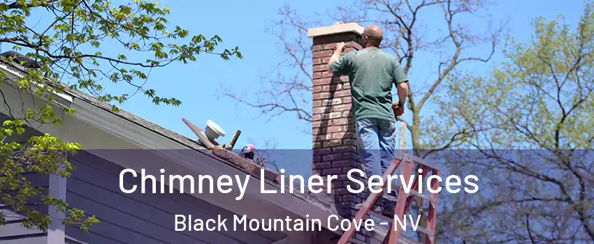 Chimney Liner Services Black Mountain Cove - NV